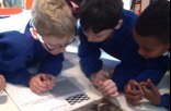 Follow the learning journey of a fantastic year 4 class at Rosendale Primary School.