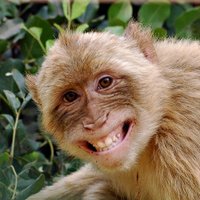 Deano (@deanorow82) 's Twitter Profile