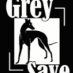 GreySave Greyhound Adoption is a greyhound adoption & support group in So Cal. We get former racing & otherwise unwanted greys & adopt them into loving homes.