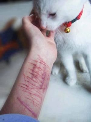 Ailen_coder_'s profile picture. solo soy un punto muerto entre las personas