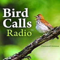 BirdCallsRadio™ & Podcast(@BirdCallsRadio) 's Twitter Profile Photo