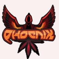 PhoeniXxProject's profile picture. 