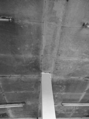 Peyupiyan_src's profile picture. Lahat ng nararanasan mo sa PUP Santa Rosa, danas ko din. Kwits lang tayo. Follow na!
  #EdukasyongDosePesosBitch