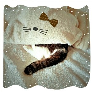 まっしゅさんのプロフィール画像