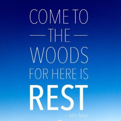 SkyeAster's profile picture. Just trying to survive my crazy life.