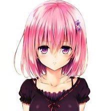 誾さんのプロフィール画像