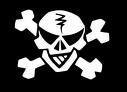 A Real Die Toten Hosen fan