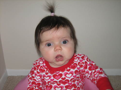 I have a 6 month baby girl whom I love to take pics of and write about!
My 365 blog is http://t.co/ImYooqYZA6