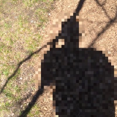 baekedgoods1738's profile picture. An open journal. take an idea or two