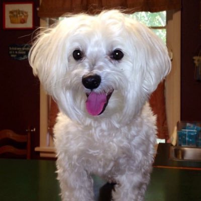 sooner927's profile picture. Just be kind!