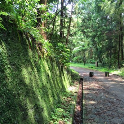 showyou125's profile picture. 