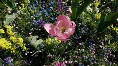 angelyj21's profile picture. 