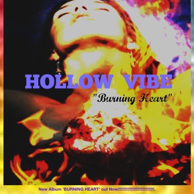 Guitarist/singer songwriter for rock/blues band Hollow Vibe