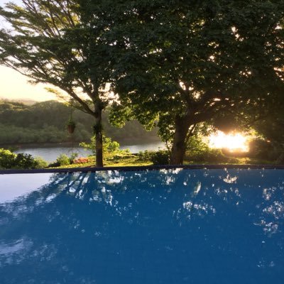 amitdoshimsa's profile picture. MSc Accounting & Finance @The London School of Economics & Political Science