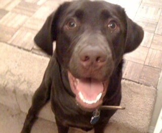 Lmildren's profile picture. 