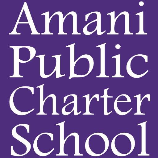 Amani Public Charter School will prepare 5th thru 8th graders in Mount Vernon, NY with the academic tools to compete in high school, college and beyond.