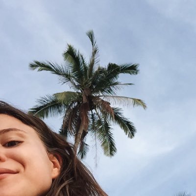 Medeerr's profile picture. #hse