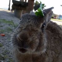 やま (@yama_885) 's Twitter Profile
