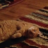 Jamie (@flintchem) 's Twitter Profile