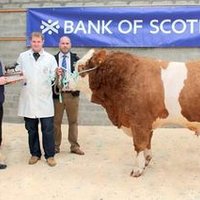 Stuart Grant (@stuartgrant2) 's Twitter Profile