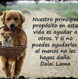 Mend1915's profile picture. 