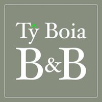 Ty Boia (@tyboiastdavids) 's Twitter Profile