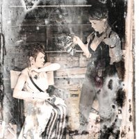 twin headed wolf (@twinheadedwolf) 's Twitter Profile