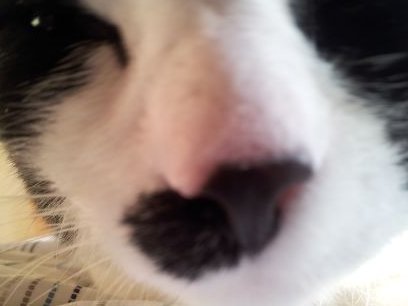 Edinburgh Napier University. Neuroendocrinology of deprivation. Biological Epidemiology and Public Health. Piano, Ashtanga, Cats.