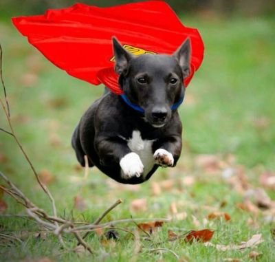 gpassaged1's profile picture. feel so good♡예술,문화,영화,그림♡100%