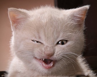 marusoze's profile picture. #Resistance #Resist #VoteBlue #BLM 🇺🇦🌈. Hope to live long enuf to see the US version of the Nuremberg trials take place. 🌊