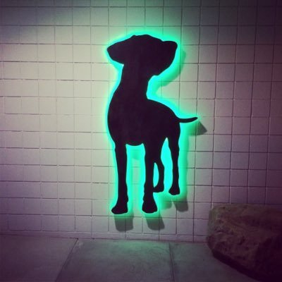 Dog Lover and Entrepreneur = Healthy Spot Founder and CEO.