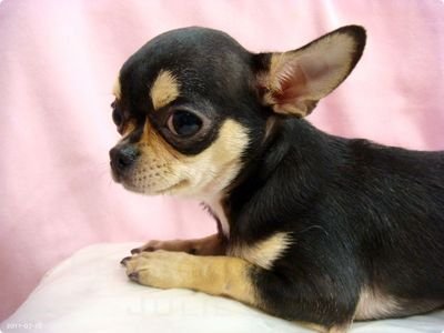 woobum6's profile picture. 명언, 유머, 동물, 풍경 좋아합니다 ^^; (맞팔100%)