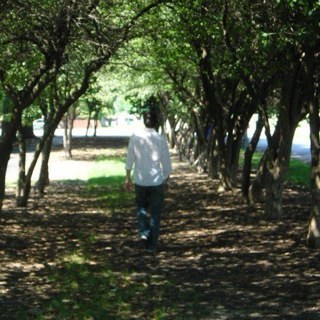 AgentElliot007's profile picture. I'm free, free fallin'...