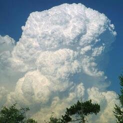 puresilk2016's profile picture. 