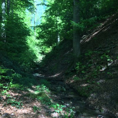 CooliMelela's profile picture. 