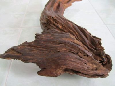 First French Agarwood exporter since 2005