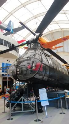 cheeps66's profile picture. カピバラさん