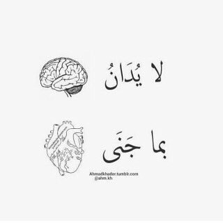 طالبھَہ في جامعة الملك عبدالعزيز ' تخصص إداره عامھَہ '