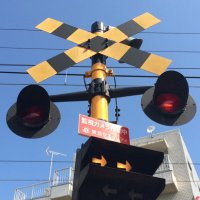 自由が丘5号 (@eos7dmarkii) 's Twitter Profile