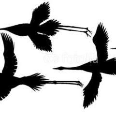 rayout_transit's profile picture. This group translates foreign news into Japanese.
Foreign news are All Jazeera's and teleSUR's.
Please read and use way of studying Japanese.