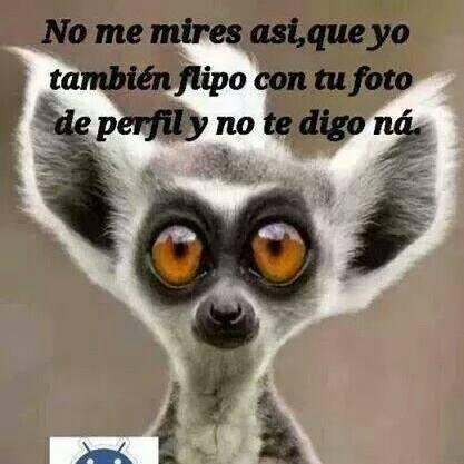 mariajesusalva3's profile picture. 