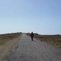 joan gener barbany (@en_joan) 's Twitter Profile