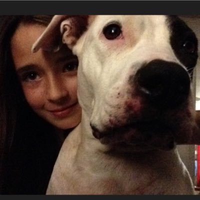 kylawoods3's profile picture. I love animals