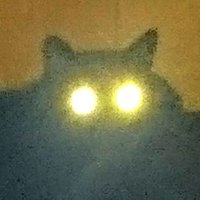 umino (@umino0_0) 's Twitter Profile