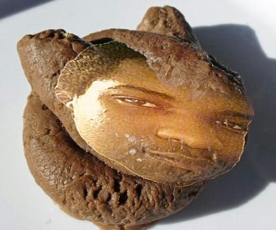 vrisn381's profile picture. I'm a healthy niggerrrrrr