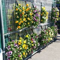 Bloordale Toronto (@bloordaleto) 's Twitter Profile
