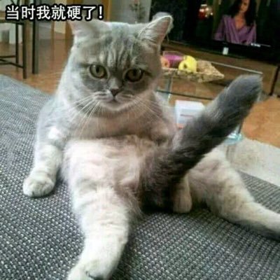 AttackDP's profile picture. 责任
