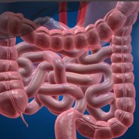 Colorectalsurgery (@colorectaltweet) 's Twitter Profile