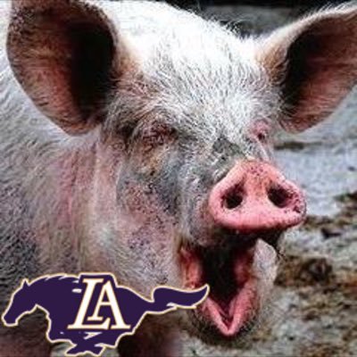 Follow for updates on your #HOGS of LA and other interesting news. Run by current members of the Mustangs O-Line. #OLP #Hogs4Life #PaveTheLane