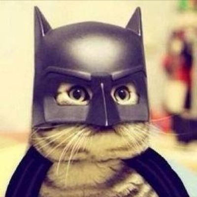 gkerbrat's profile picture. 